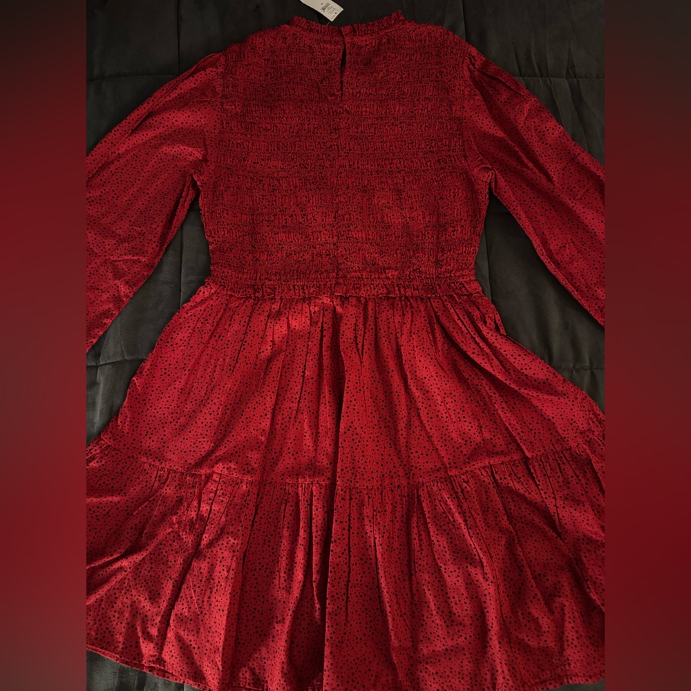 GAP Red Textured Dress - Picture 8 of 9